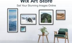 Wix Art Store Overview – Why a Website is Important for your Business