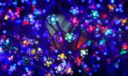 How To Increase Property Rental Value Using New Technology