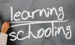 Reasons the Demand for Online Schooling Has Grown