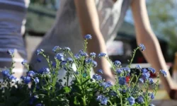 Four Tips For Making Your Yard More Stylish